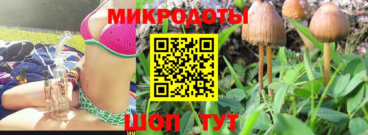 Псилоцибиновые грибы GOLDEN TEACHER  Вход с VPN  Владимир  закладка  Псилоцибиновые грибы MAGIC MUSHROOMS 