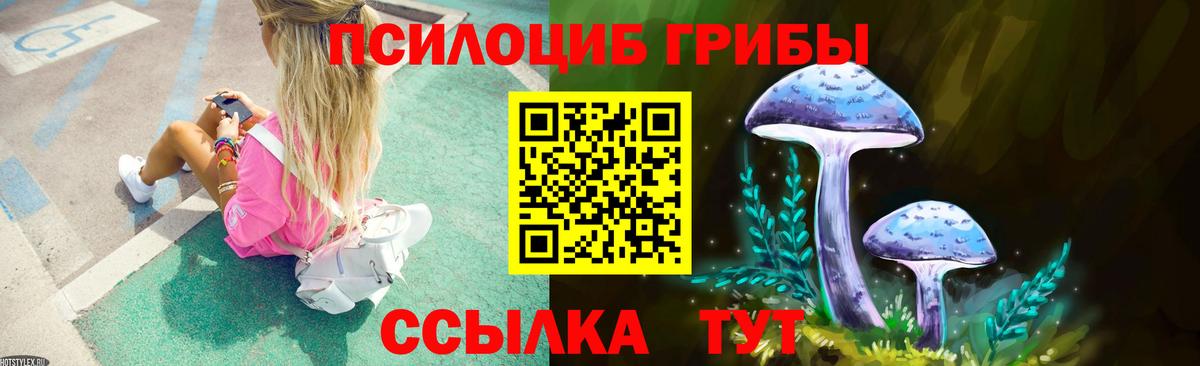 Галлюциногенные грибы Psilocybe Владимир