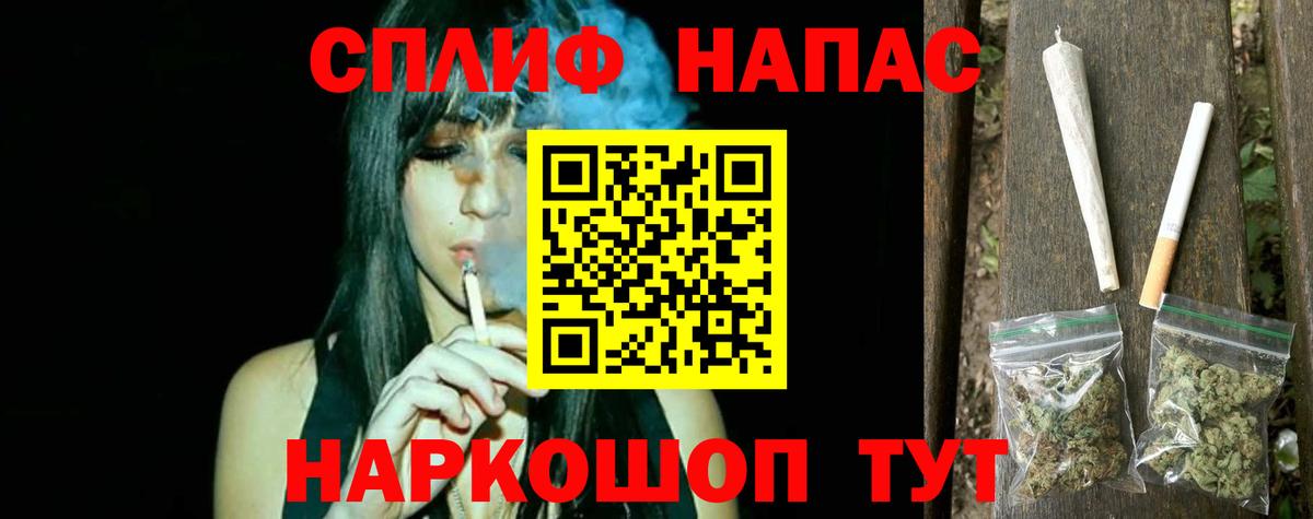 ЭКСТАЗИ Владимир